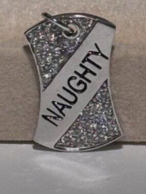 🇫🇷✨ .925 Sterling Silver “Naughty” Pavé Crystal Dog Tag Charm ✨ 🇫🇷